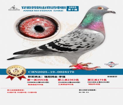 ����Λρɽ?j��ng)Qِ175��