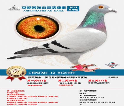 ����Λρɽ?j��ng)Qِ177��