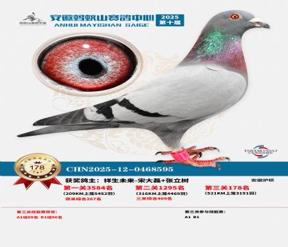 ����Λρɽ?j��ng)Qِ178��