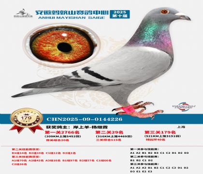 ����Λρɽ?j��ng)Qِ179��