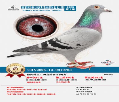 ����Λρɽ?j��ng)Qِ181��