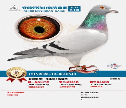 ����Λρɽ?j��ng)Qِ182��