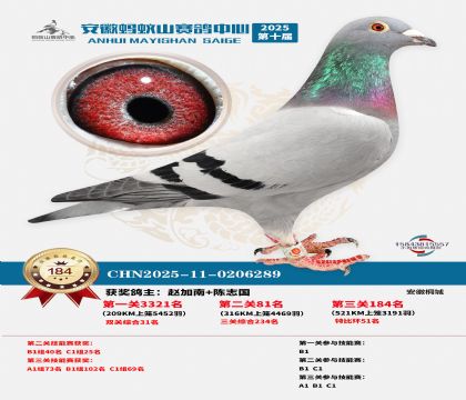 ����Λρɽ?j��ng)Qِ184��