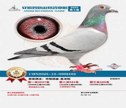 ����Λρɽ?j��ng)Qِ185��