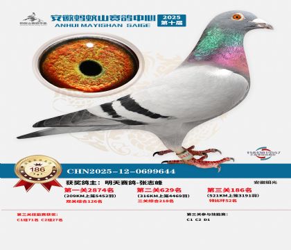 ����Λρɽ?j��ng)Qِ186��