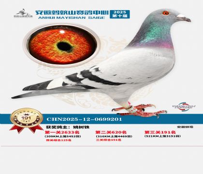 ����Λρɽ?j��ng)Qِ191��