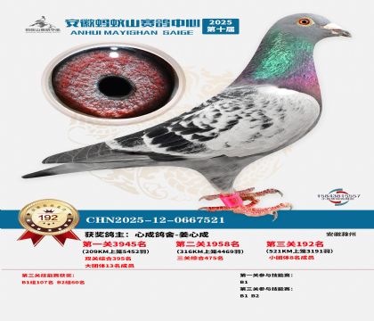 ����Λρɽ?j��ng)Qِ192��