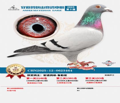 ����Λρɽ?j��ng)Qِ193��