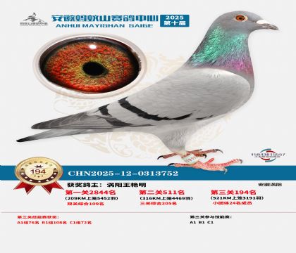 ����Λρɽ?j��ng)Qِ194��