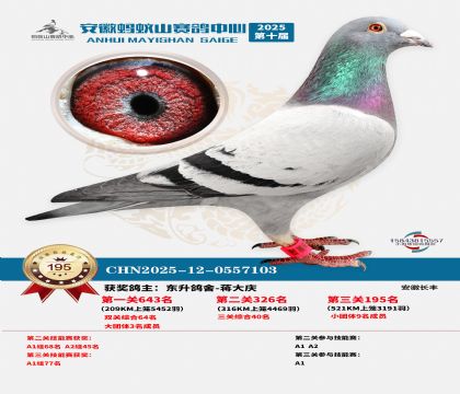 ����Λρɽ?j��ng)Qِ195��