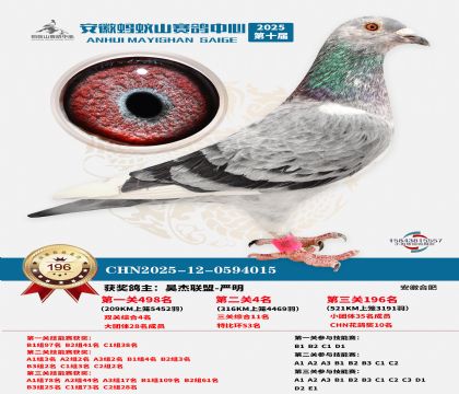 ����Λρɽ?j��ng)Qِ196��