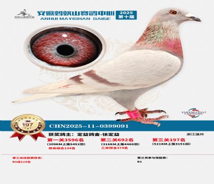 ����Λρɽ?j��ng)Qِ197��