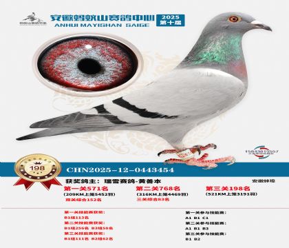 ����Λρɽ?j��ng)Qِ198��