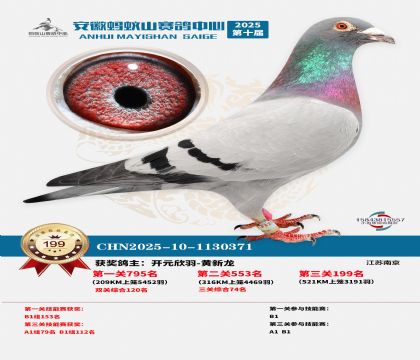 ����Λρɽ?j��ng)Qِ199��