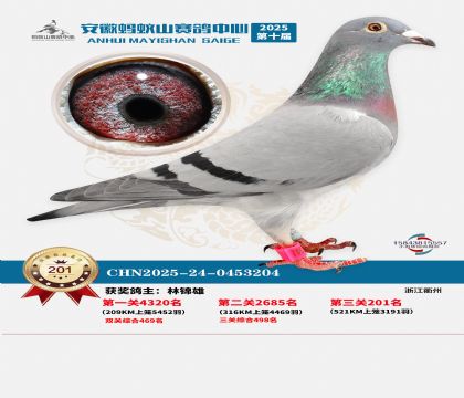 安徽蚂蚁山决赛201名