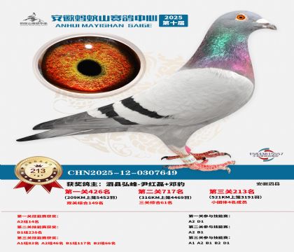 安徽蚂蚁山决赛213名