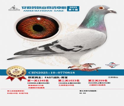 安徽蚂蚁山决赛259名