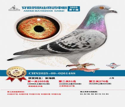 安徽蚂蚁山决赛276名