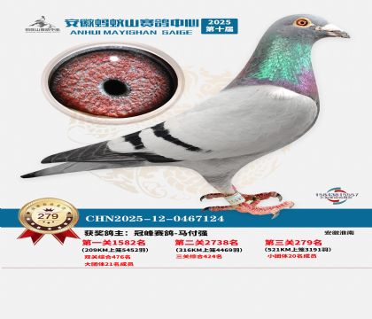 安徽蚂蚁山决赛279名