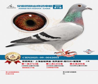 安徽蚂蚁山决赛296名