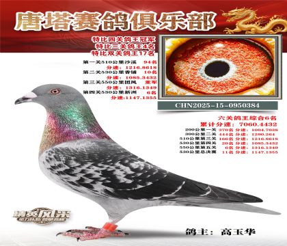 ���������P(gu��n)������܊