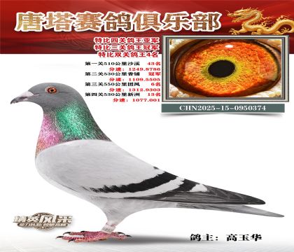 ���������P(gu��n)������܊