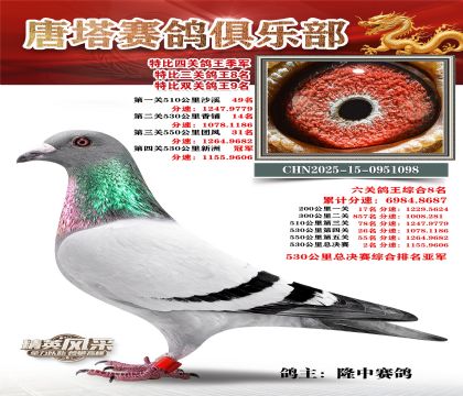 ���������P(gu��n)������܊