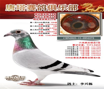 ���������P(gu��n)����4��