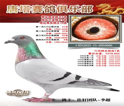 ���������P(gu��n)����5��