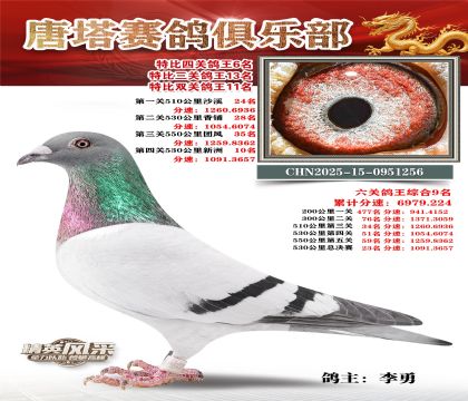 ���������P(gu��n)����6��