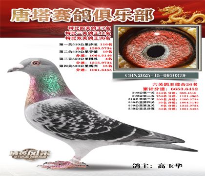 ���������P(gu��n)����7��