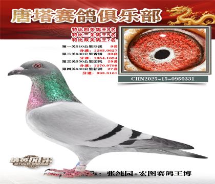 ���������P(gu��n)����8��