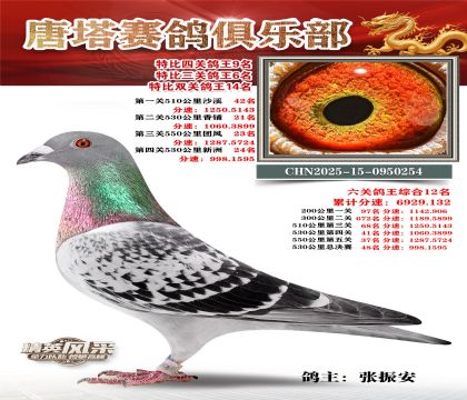 ���������P(gu��n)����9��