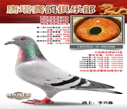 ���������P(gu��n)����10��