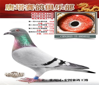 ���������P(gu��n)����11��