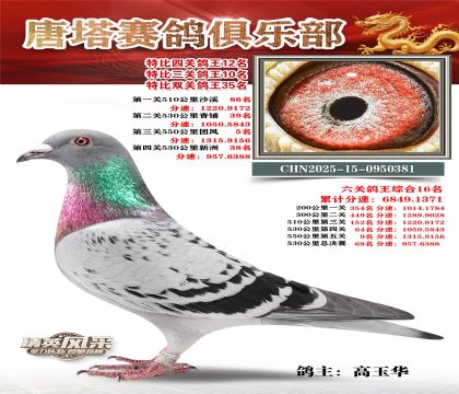 ���������P(gu��n)����12��