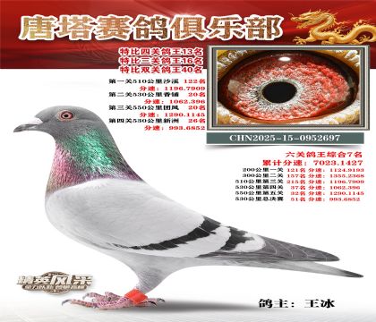 ���������P(gu��n)����13��