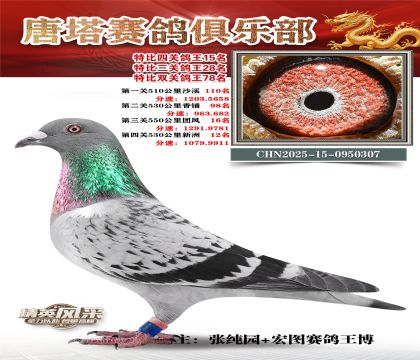 ���������P(gu��n)����15��