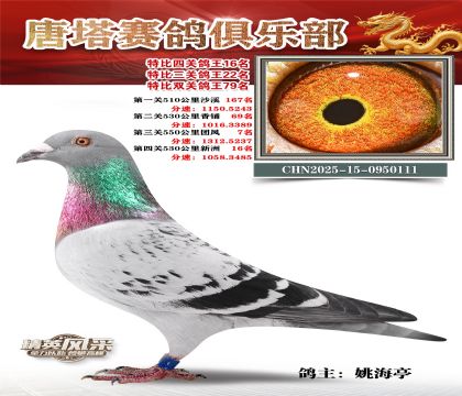 ���������P(gu��n)����16��