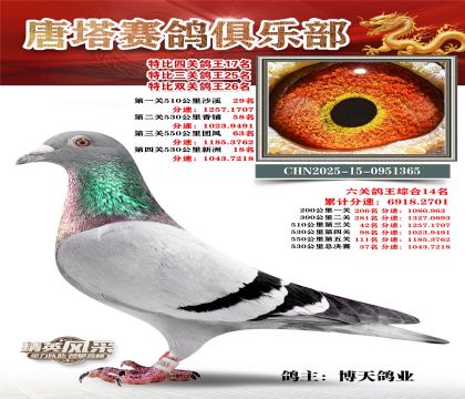 ���������P(gu��n)����17��