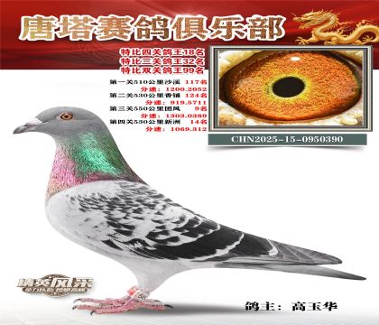 ���������P(gu��n)����18��