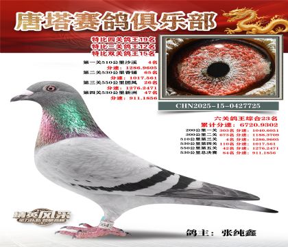 ���������P(gu��n)����19��