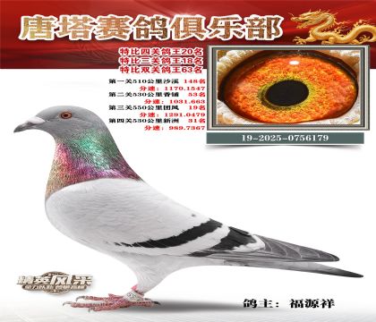 ���������P(gu��n)����20��