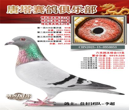 ���������P(gu��n)����21��