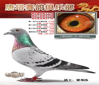 ���������P(gu��n)����22��