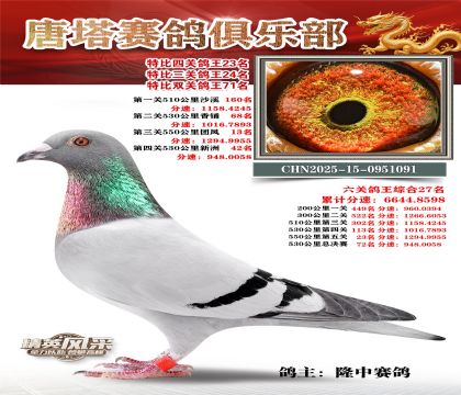 ���������P(gu��n)����23��