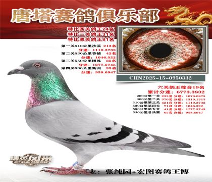 ���������P(gu��n)����24��