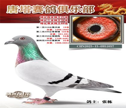 ���������P(gu��n)����25��