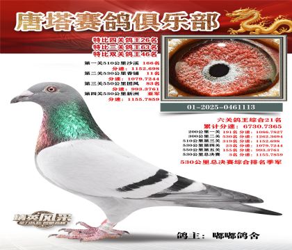 ���������P(gu��n)����26��