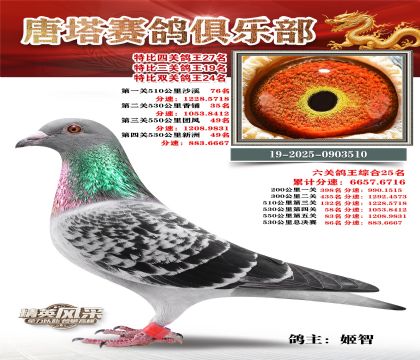 ���������P(gu��n)����27��